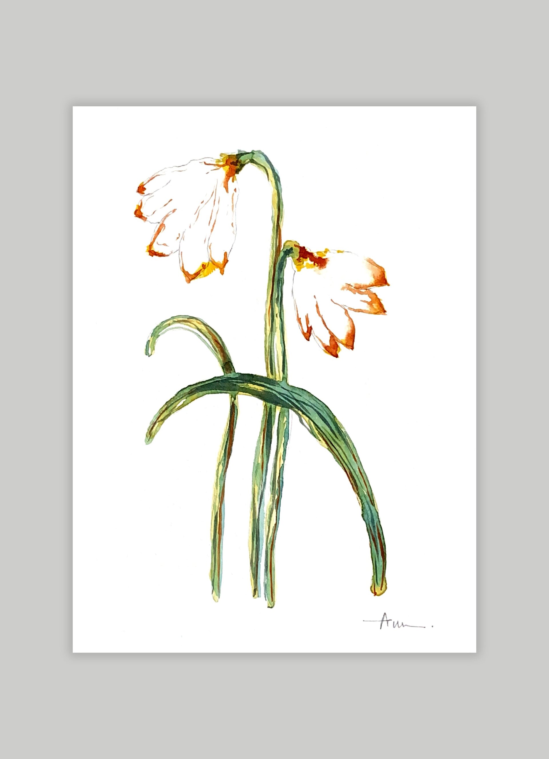 Narciso Blanco - 1