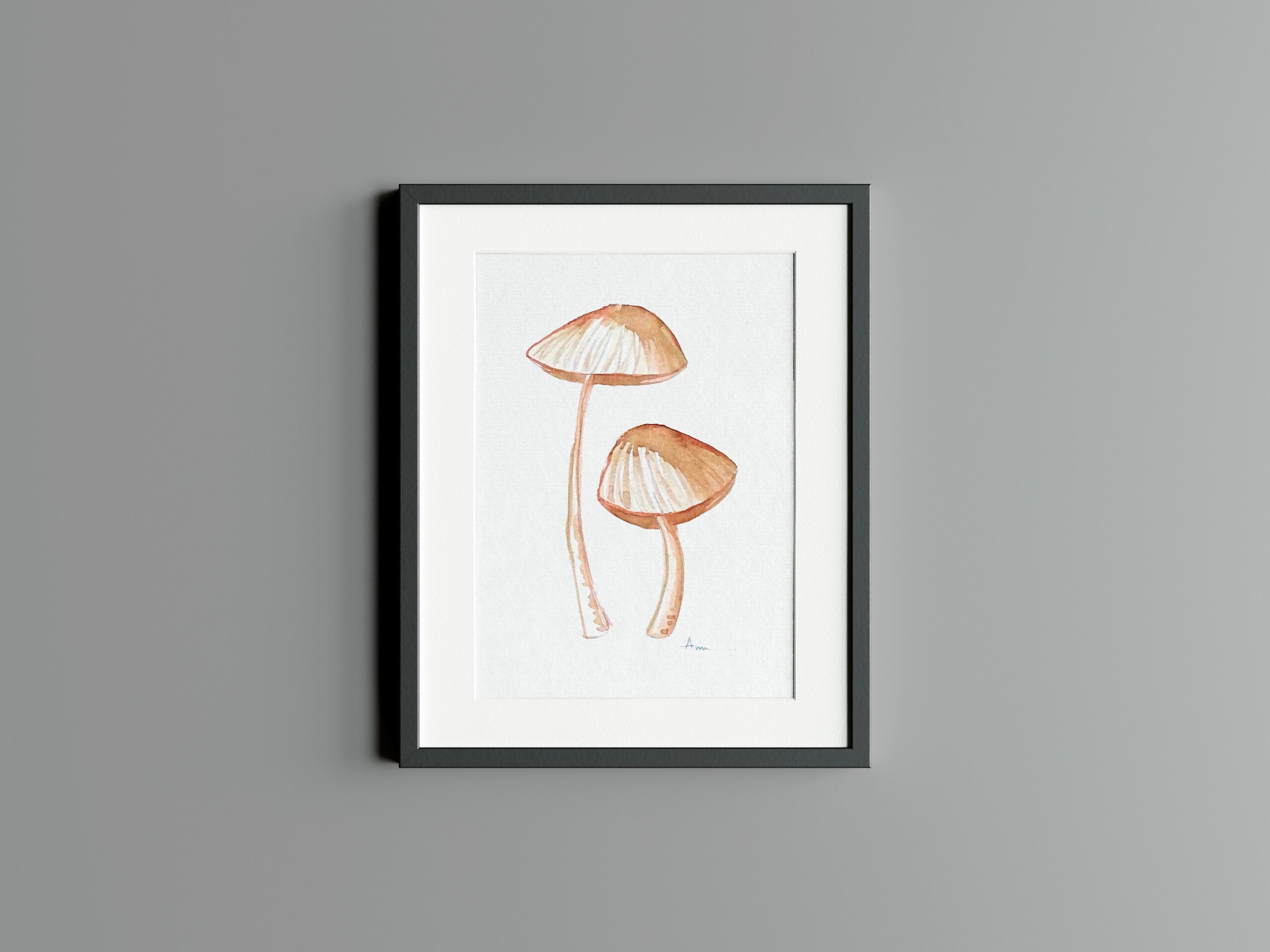 Mycena Inclinada - 2