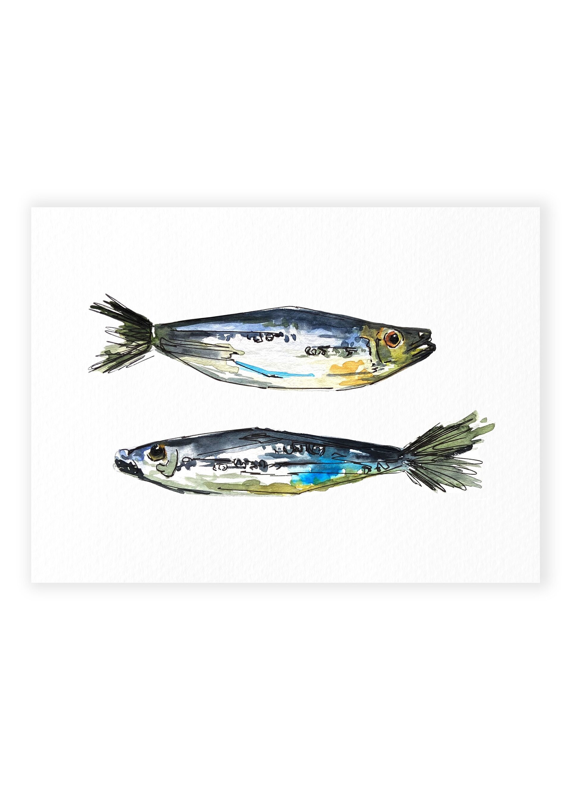 Sardinas - 2