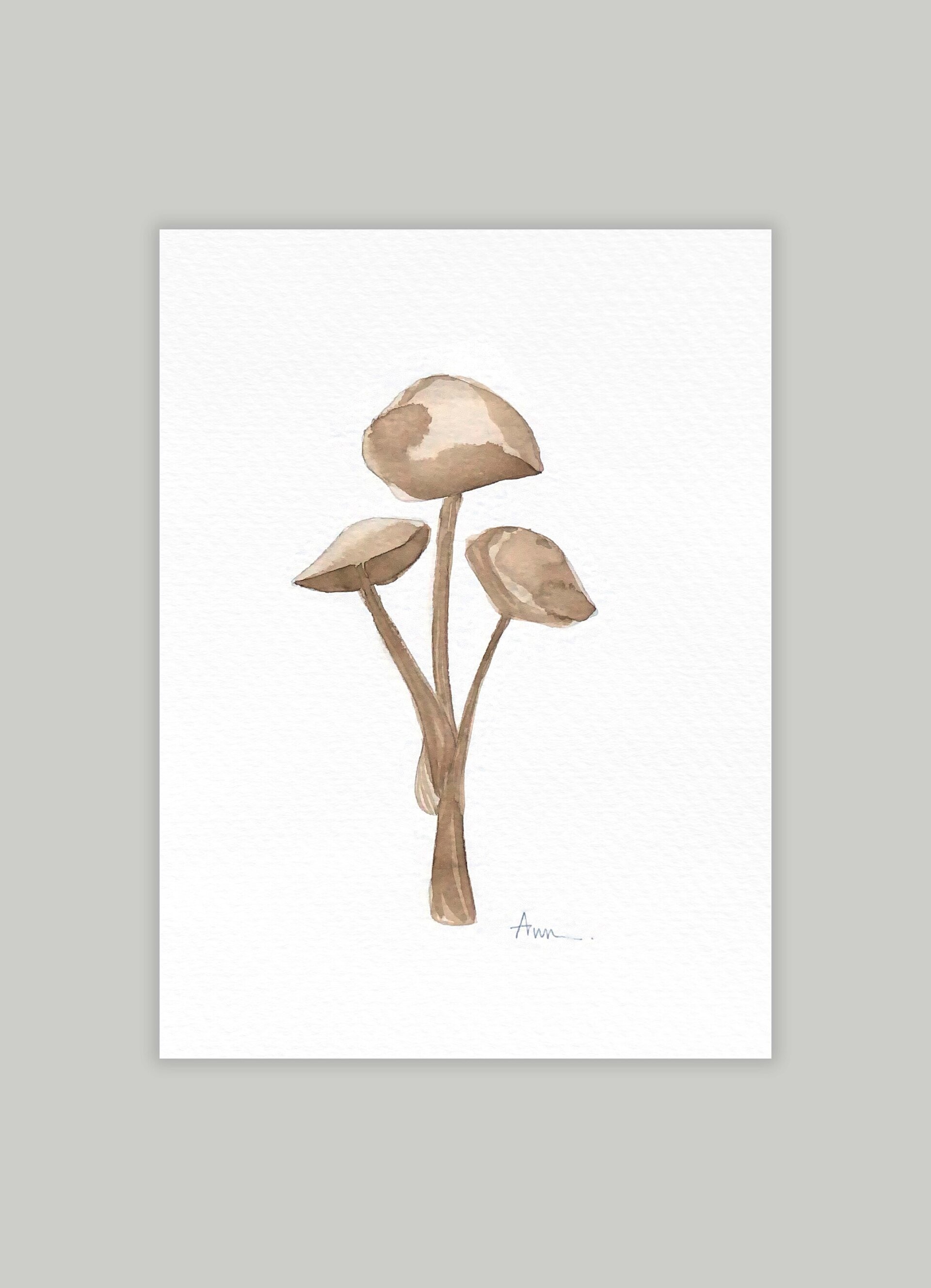 Mycena - 2