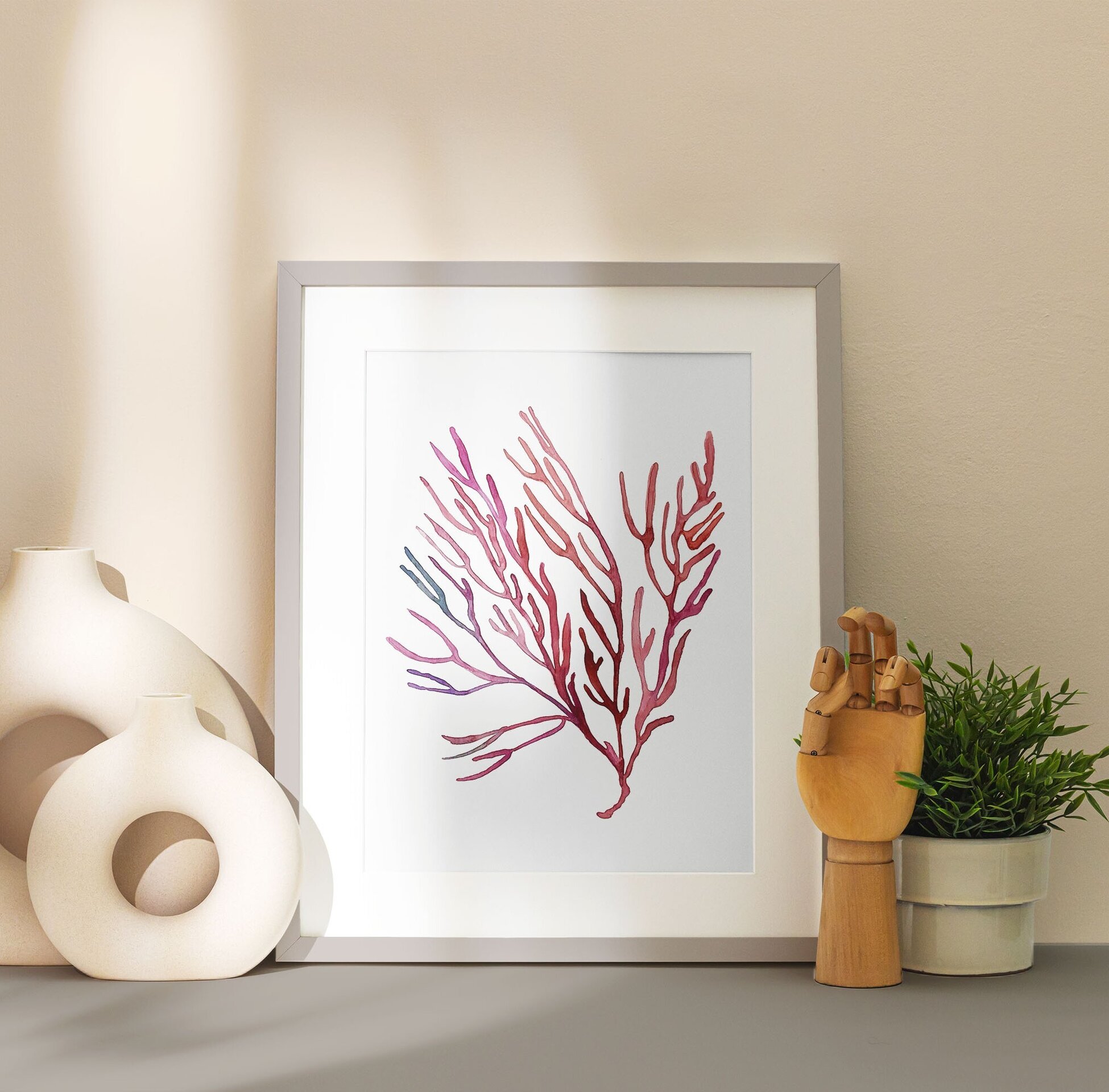 Coral Cuerno de Alce - 2