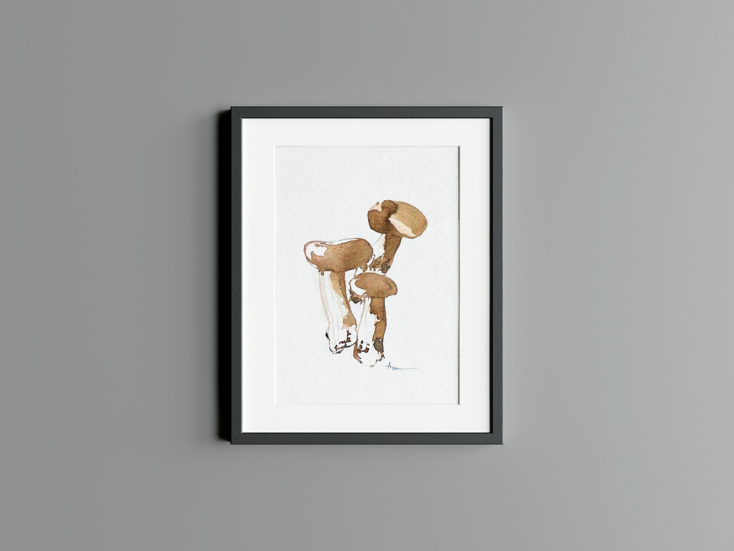 Tricholoma batschii - 2