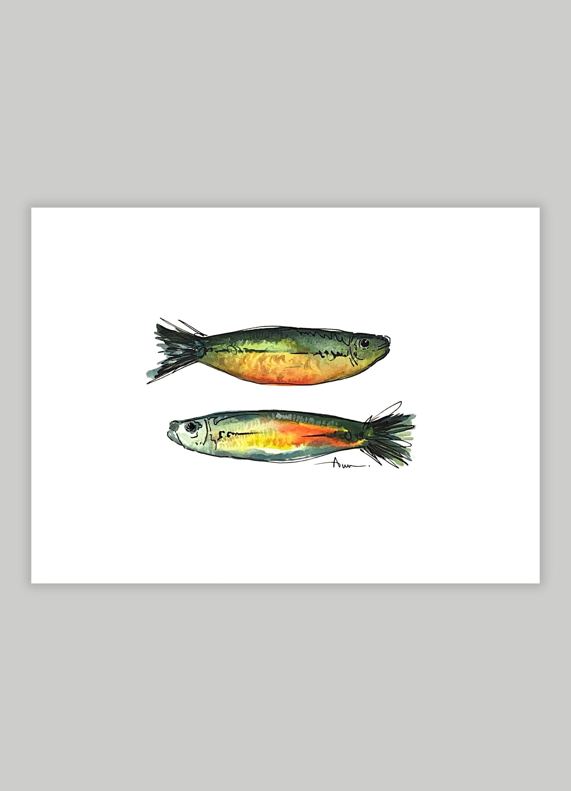 Sardinas - 1